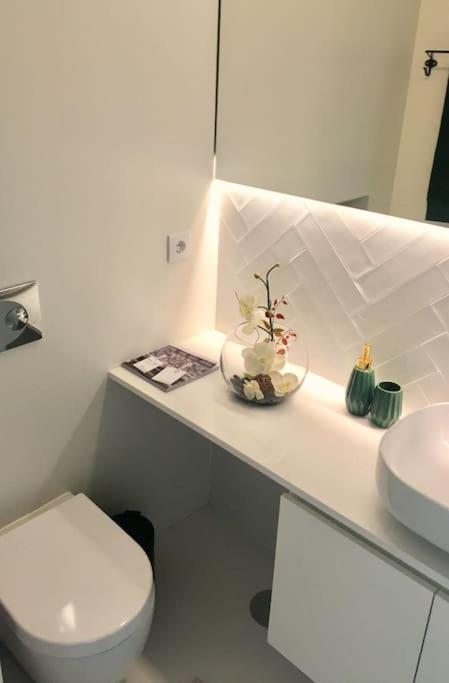 Studio Jardim Sao Lazaro Porto Dış mekan fotoğraf